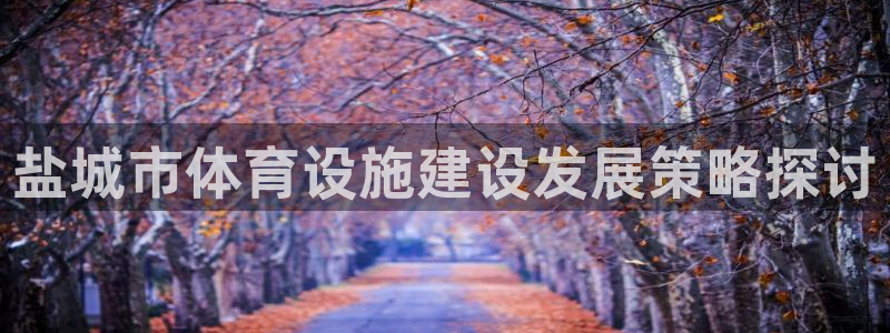 凯捷体育集团官网首页网址：盐城市体育设施建设发展策略