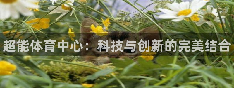 凯捷体育平台注册要钱吗是真的吗：超能体育中心：科技与