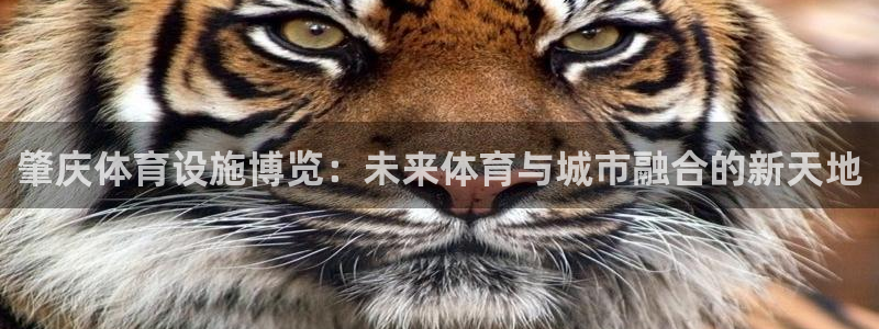 凯捷体育娱乐平台