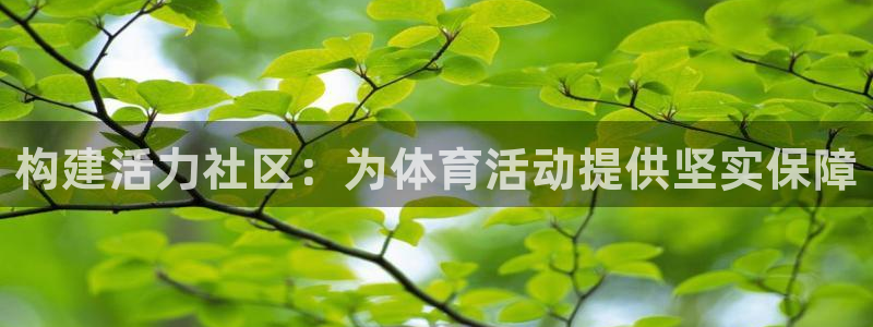凯捷体育娱乐平台：构建活力社区：为体育活动提供坚实保