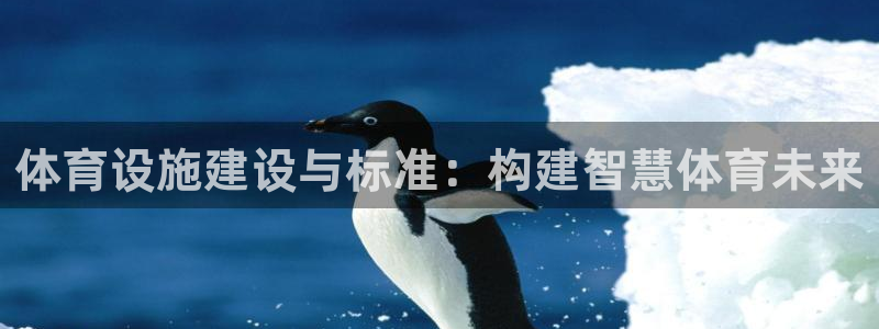 凯捷体育官网：体育设施建设与标准：构建智慧体育未来
