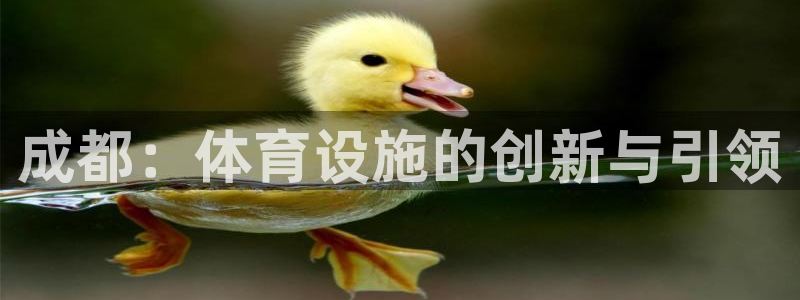 注册凯捷体育：成都：体育设施的创新与引领
