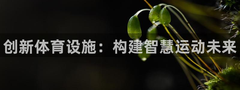德国凯捷体育集团：创新体育设施：构建智慧运动未来