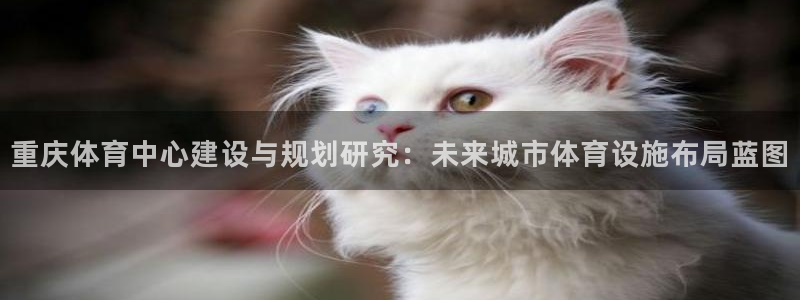 凯捷体育娱乐：重庆体育中心建设与规划研究：未来城市体
