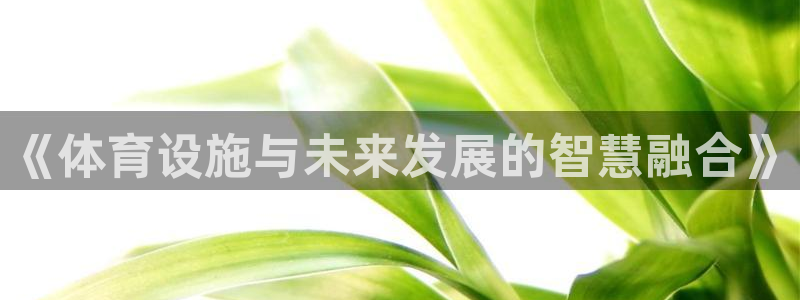 凯捷体育集团logo：《体育设施与未来发展的智慧融合