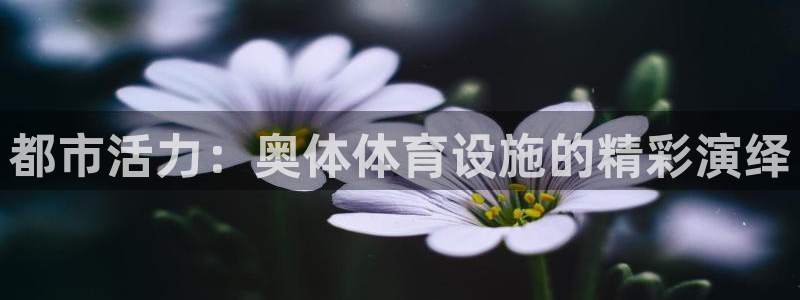 凯捷体育招商电话号码查询：都市活力：奥体体育设施的精