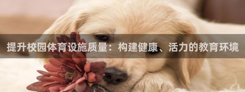 凯捷体育招商电话号码查询：提升校园体育设施质量：构建