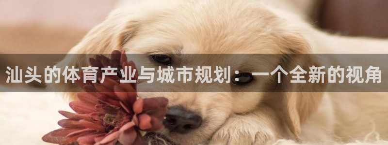 凯捷体育是干嘛的公司：汕头的体育产业与城市规划：一个