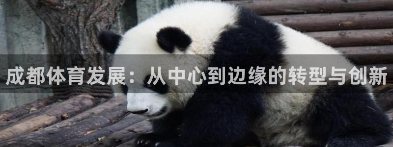凯捷体育开户：成都体育发展：从中心到边缘的转型与创新
