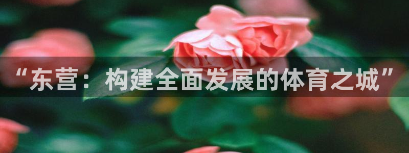 凯捷体育平台是正规平台吗：“东营：构建全面发展的体育