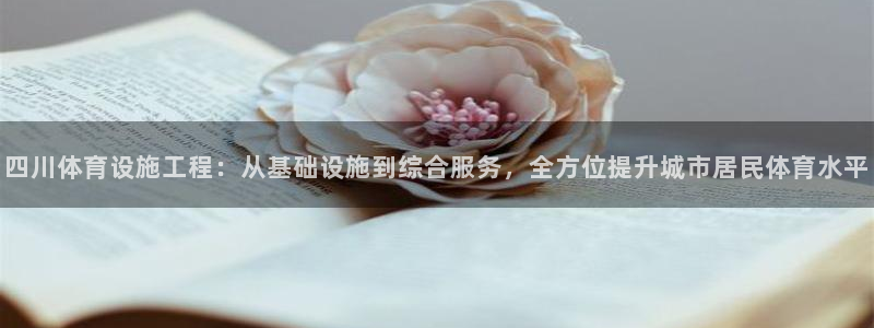 海南凯捷体育发展怎么样：四川体育设施工程：从基础设施
