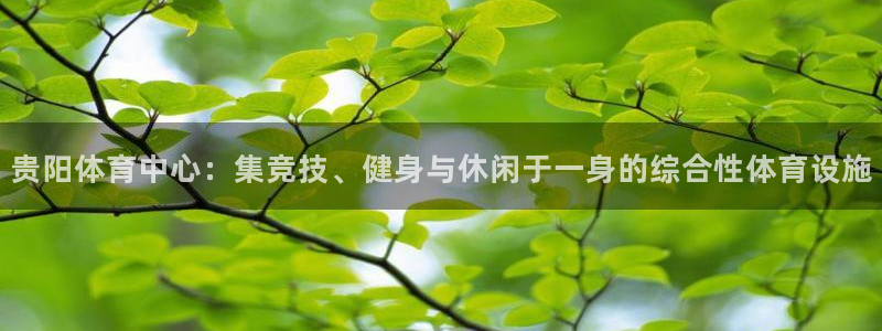 凯捷体育招商：贵阳体育中心：集竞技、健身与休闲于一身