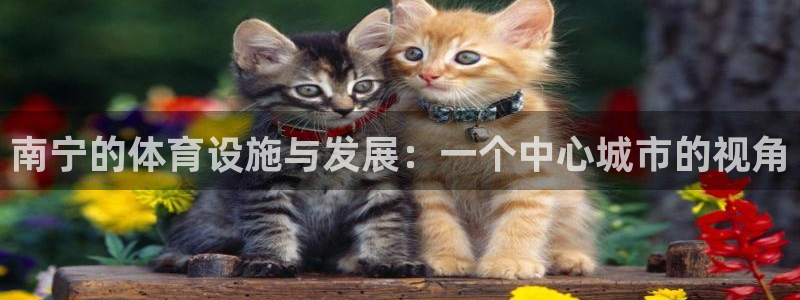 凯捷体育是干嘛的公司：南宁的体育设施与发展：一个中心