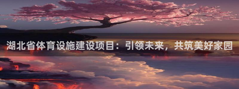 凯捷体育软件：湖北省体育设施建设项目：引领未来，共筑