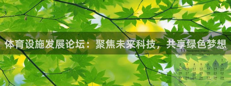 海南凯捷体育发展怎么样：体育设施发展论坛：聚焦未来科