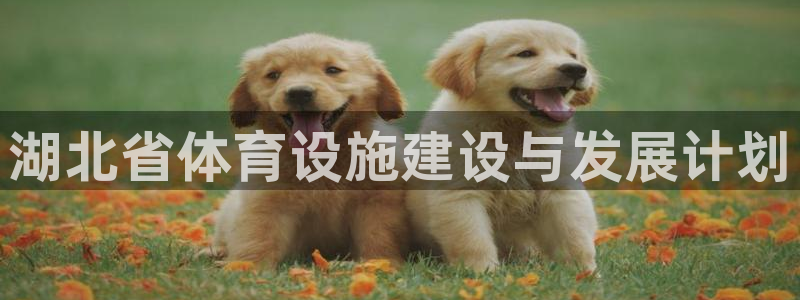 凯捷体育招商：湖北省体育设施建设与发展计划