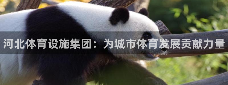 凯捷体育娱乐：河北体育设施集团：为城市体育发展贡献力