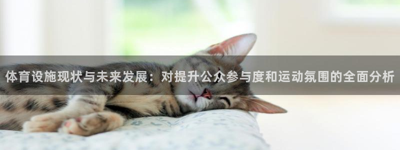 凯捷体育集团官网首页：体育设施现状与未来发展：对提升