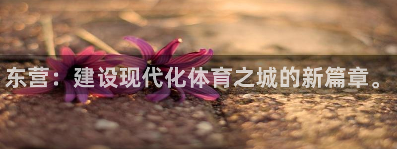 凯捷体育集团E.ON：东营：建设现代化体育之城的新篇章。