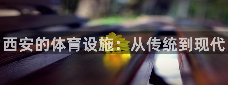 凯捷体育集团E.ON：西安的体育设施：从传统到现代