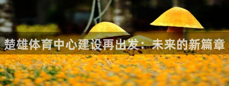 凯捷体育平台是正规平台吗：楚雄体育中心建设再出发：未来的新篇