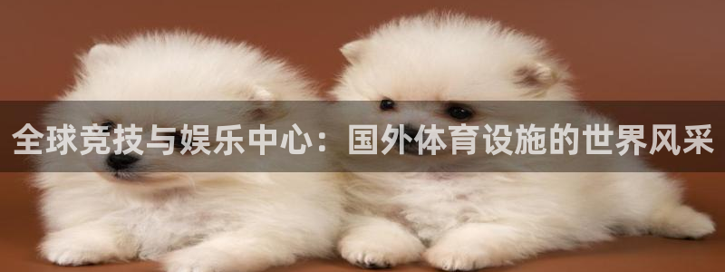凯捷体育平台注册要钱吗安全吗：全球竞技与娱乐中心：国外体育设