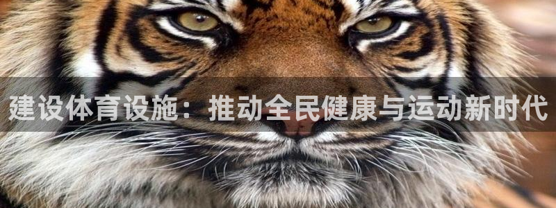 凯捷体育招商电话号码查询：建设体育设施：推动全民健康与运动新 