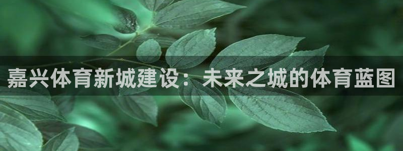 海南凯捷体育：嘉兴体育新城建设：未来之城的体育蓝图