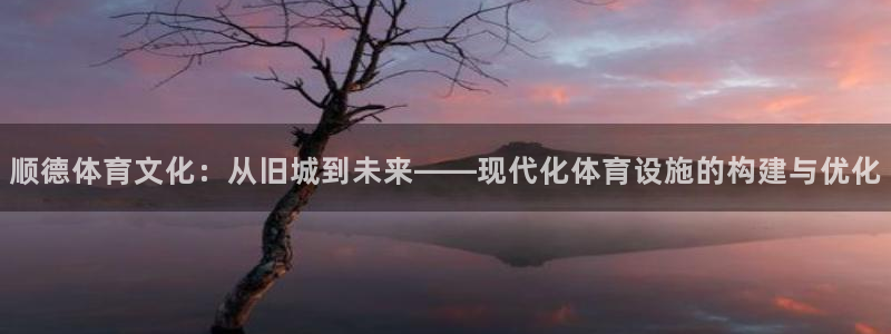 凯捷体育平台注册要钱吗：顺德体育文化：从旧城到未来—