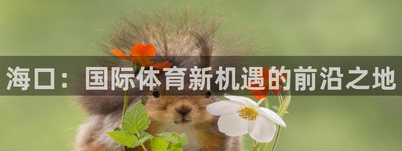 凯捷体育招商：海口：国际体育新机遇的前沿之地