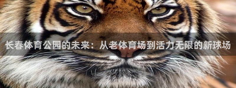凯捷体育平台假的吗是真的吗：长春体育公园的未来：从老