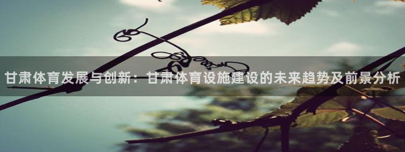 凯捷体育平台注册要钱吗安全吗：甘肃体育发展与创新：甘