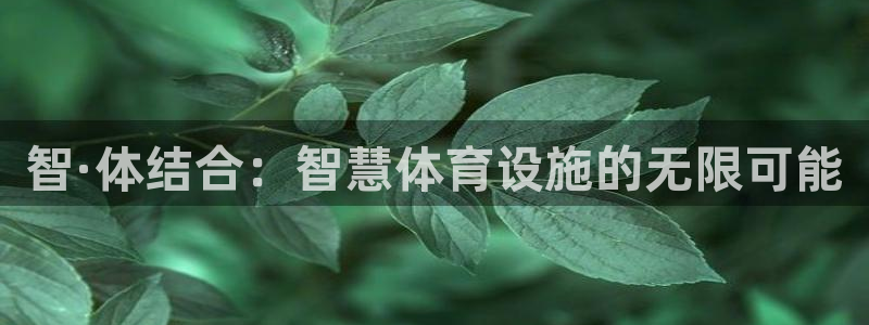 凯捷体育招商电话号码是多少啊：智·体结合：智慧体育设