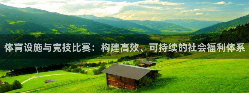 凯捷体育平台注册流程图：体育设施与竞技比赛：构建高效