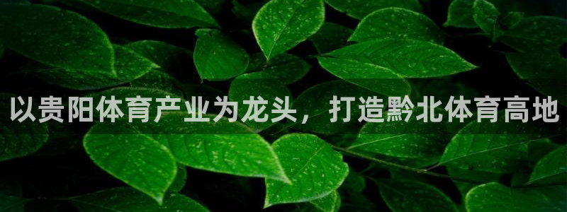 凯捷体育招商电话号码是多少啊：以贵阳体育产业为龙头，