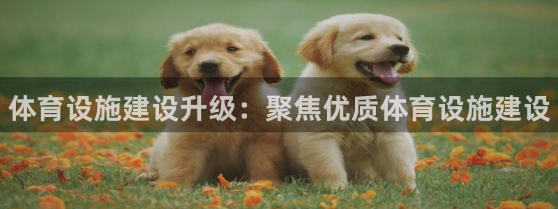 凯捷体育招商电话地址是多少：体育设施建设升级：聚焦优