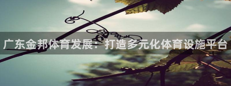 凯捷体育新能源：广东金邦体育发展：打造多元化体育设施