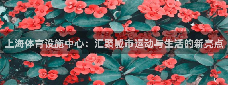凯捷体育娱乐首页网站大全：上海体育设施中心：汇聚城市