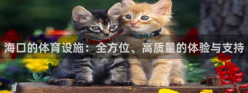凯捷体育娱乐：海口的体育设施：全方位、高质量的体验与