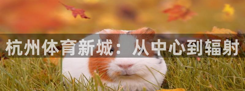 凯捷体育集团官网网址：杭州体育新城：从中心到辐射