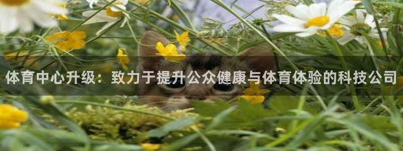 凯捷体育集团logo：体育中心升级：致力于提升公众健