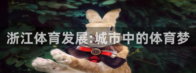 凯捷体育集团官网网址：浙江体育发展:城市中的体育梦
