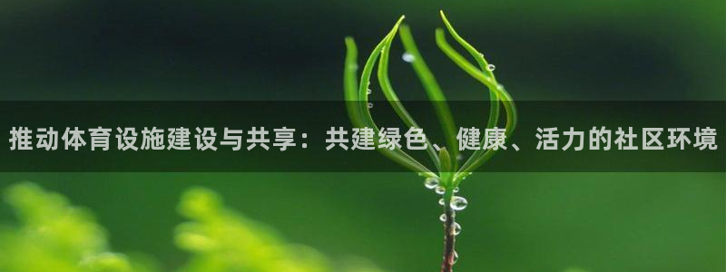 凯捷体育集团官网首页：推动体育设施建设与共享：共建绿色、健康