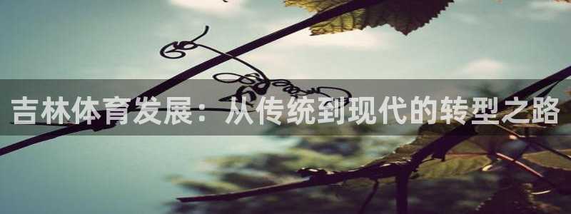 凯捷体育集团：吉林体育发展：从传统到现代的转型之路