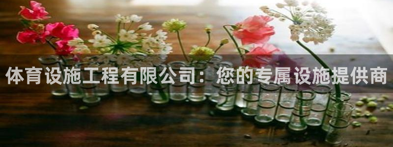 凯捷体育集团官网首页：体育设施工程有限公司：您的专属