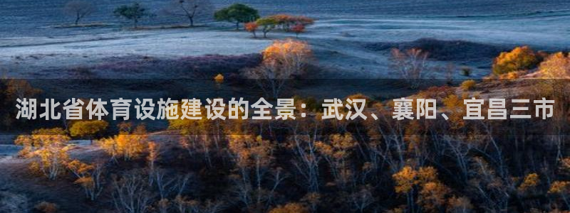 凯捷体育官方