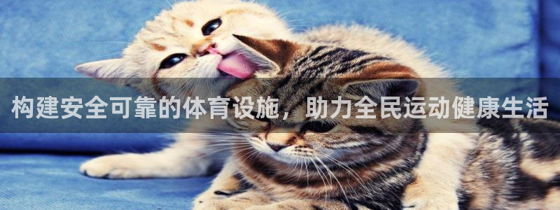 凯捷体育官方：构建安全可靠的体育设施，助力全民运动健