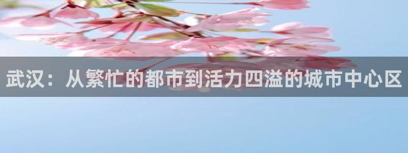凯捷体育开户：武汉：从繁忙的都市到活力四溢的城市中心