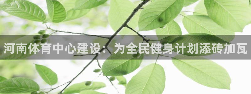 凯捷体育娱乐网站