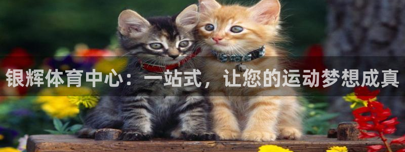 凯捷集团官网：银辉体育中心：一站式，让您的运动梦想成